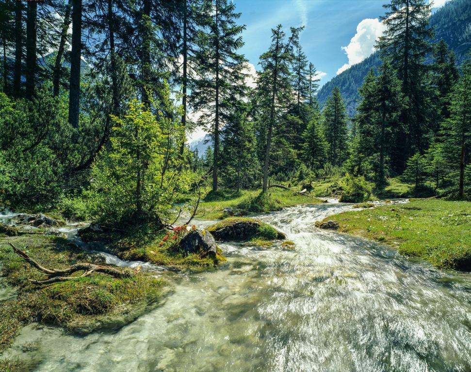 Hotel Laerchenhof Natur Seefeld in Tirol Extérieur photo