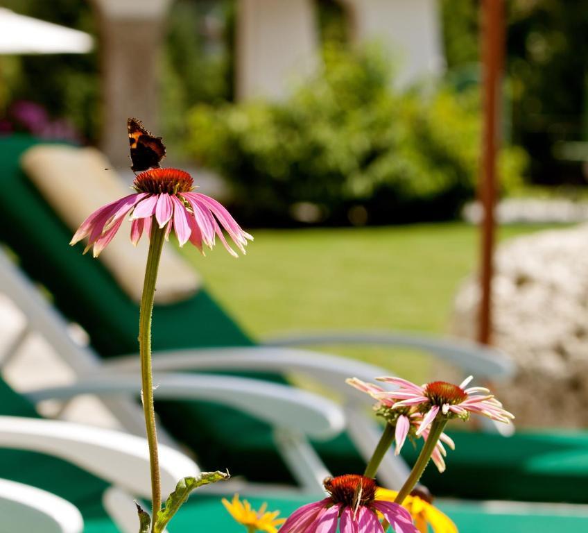 Hotel Laerchenhof Natur Seefeld in Tirol Chambre photo
